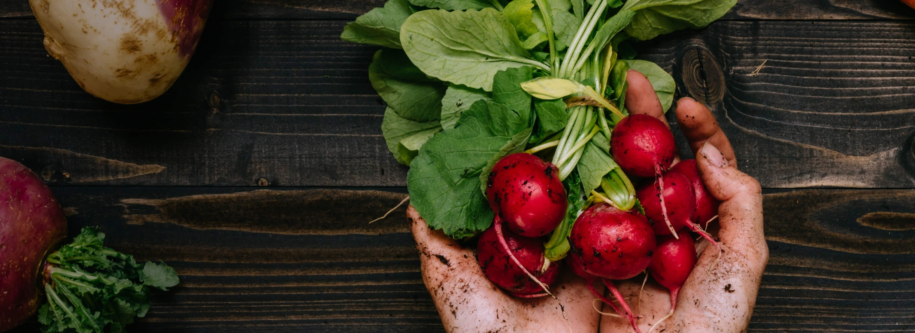 slider image 1621243260e1af0c20-0